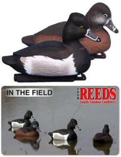 this item is new these new ringneck decoys from higdon are 11