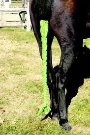 Tough 1 Lycra Braid in Tail Bag Lime New Horse Grooming Tack