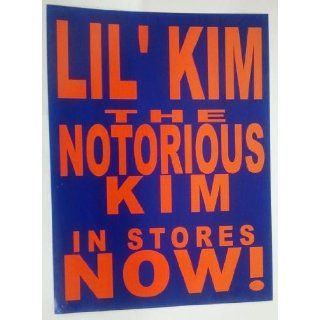 LIL KIM   THE NOTORIOUS KIM 18x24 POSTER BOARD OP18AE