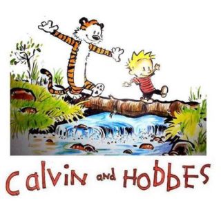  Calvin and Hobbes 11 8 x 10 T Shirt Iron On