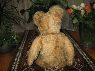 Antique Old Hermann Bear 16 inch Blonde Mohair w Growler