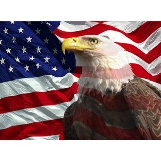 Eagle with American Flag 1 Counted Cross Stitch Pattern