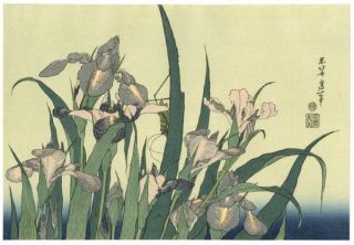 Hokusai Japanese Woodblock Print Grasshopper and Iris RARE