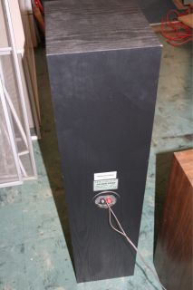 Wharfedale Zaldek S2000 Floorstanding Horn Speaker