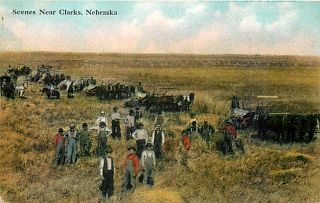 NE Clarks Nebraska Farming Scene Horse Drawn Farm Equipment