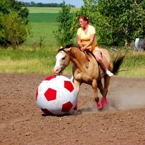 Horse Training Soccer Ball 40 Red White Toys Equine