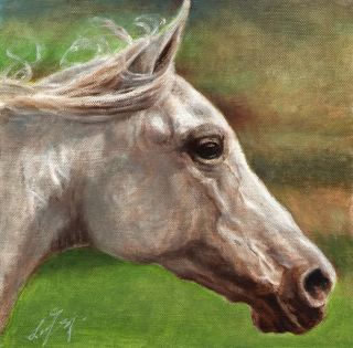 Original Oil Horse Portrait Painting Pony Art Artwork on Canvas