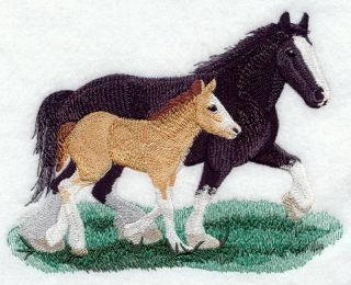 Clydesdake Horse Colt Baby 2 Embroidered Hand Towels by Susan