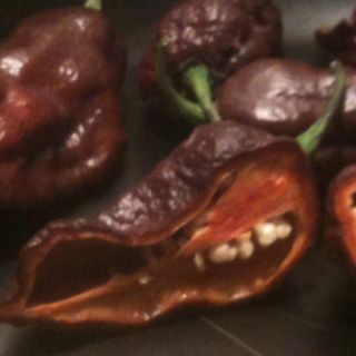Very Hot Chocolate Bhut Jolokia Ghost Pepper Seeds 20+ Sample 1.0 To 1