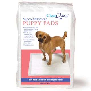 ClearQuest Puppy Dog House Training Pads Reg 300 Count