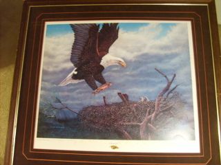 Survival by Lloyd Hovland Framed Print 31x35 Total w Frame Plus