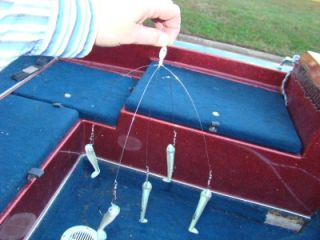 Alabama Bass Fishing Umbrella Rig