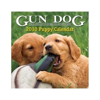 Gun Dog 2010 Puppy Wall Calendar   New