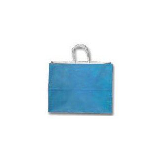 LAGOON BLUE Paper Gift Bags Set of 10 