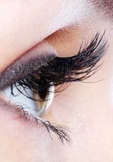 Local Milwaukee Eyelash Extensions or Haircut, Color, and Foil