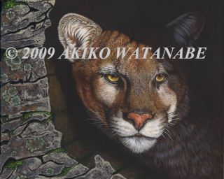 Akiko O E Print Cougar Mountain Lion Cat Painting 8x10