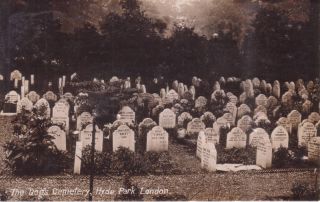 Postcard Dog Cemetery Hyde Park London 1910 Real Photo