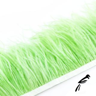 Feather Ostrich on Fringe Light Green Craft Millinery Fly Fishing