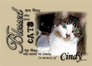  pet memorial Blessed are those who love cats  with your photo