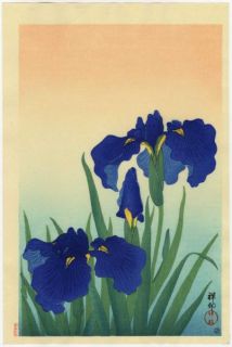 Koson Japanese Woodblock Print Blue Iris 1926