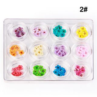 EUR € 6.61   12 soorten gedroogde bloem nail art decoratie, Gratis