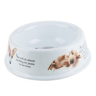 EUR € 9.19   mini cachorro tigela (14 x 14cm, branco), Frete Grátis