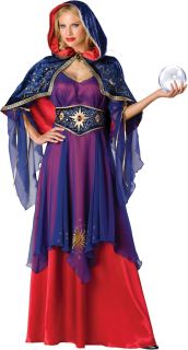 Mystical Sorceress Elite Costume Adult Large New