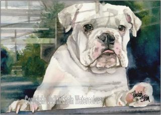 English Bulldog Puppy Dog ACEO Giclee Print Animals