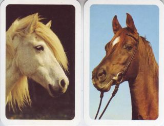 Horses 2 Single Horse Head Swap Playing Cards