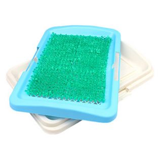  with Plastic Lawn (47 x 34 x 5.5cm), Gadgets