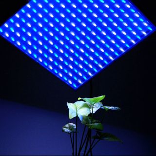  LED Blue White Growing Indoor Fruit Flowers Plants Light Panel
