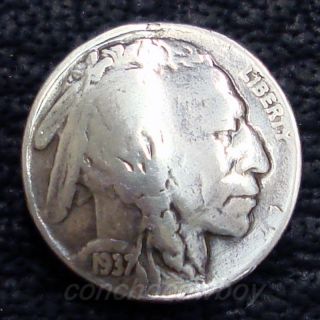 Buffalo Nickel Indian Head Reproduction Coin Concho 7 8