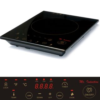 Free Standing Induction Cooktop Burner Portable Built in Electric