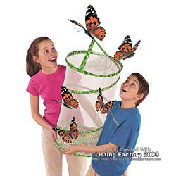 Butterfly Pavilion Painted Lady Habitat Insect Lore