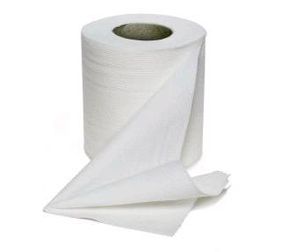  find at big discount stores. • 1 Double Roll Quality Toilet Paper