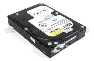 Genuine Western Digital 250 GB Internal Hard Drive