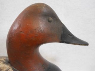 Ira Hudson Style Canvasback Duck Decoy Pair by Mark Daisey