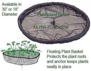 30 Floating Island Basket for Pond Plants Ailyns Pond Water Hyacinth