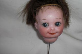 Armand Marsielle 253 German Nobbi Kid Googly Doll Head Only