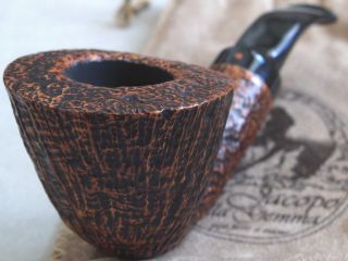 Brand New UNSMOKED Ser Jacopo Hand Made Maxima S1 Grade Early Coral