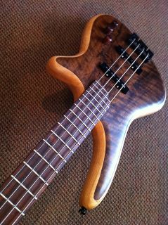 Beautifully Handbuilt Bass by Jamie White