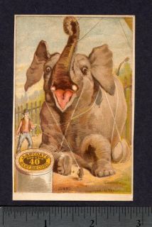 1880s Circus Jumbo Elephant J & P Coats Sewing Thread Victorian Adv