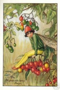 Nightshade Berry Fairy Original 1930 s Print Barker