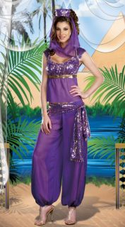 Princess Jasmine Belly Dancer Genie Fancy Dress Costume Pink and