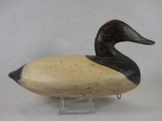 Vintage Working Upper Chesapeake Bay MD Canvasback Drake Duck Decoy John Graham  