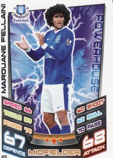 Match Attax 2012 2013 Everton Base Cards  