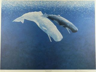 Richard Ellis Signed Limited Edition Print Sperm "Whales Journey" Lithograph  