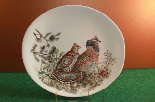 Johnson Brothers Oval Plate Game Birds Ruffed Grouse  
