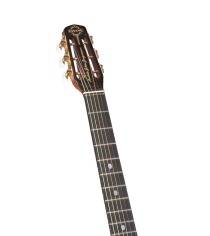 New Gitane Django Jorgenson Signature Series Acoustic Gypsy Jazz Guitar DG 320  