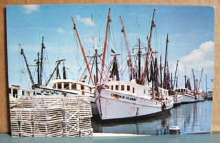 Key West 1970 postcard Shrimp Boats Rock Roll Captain Elbert lobster